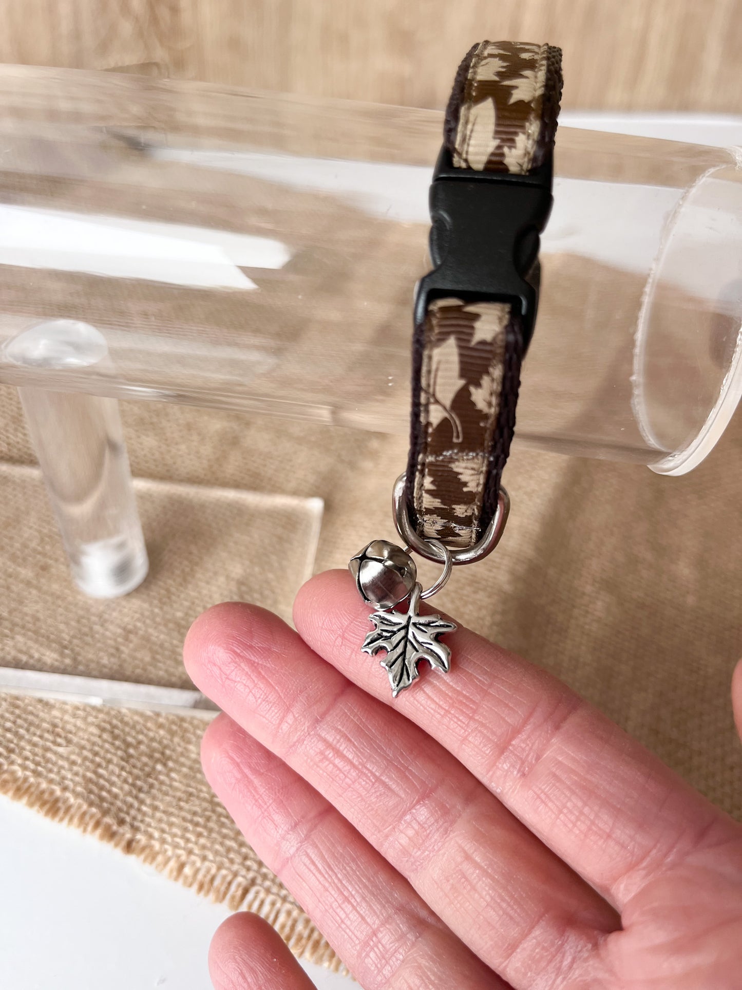 Autumn Walks - Adult Cat Collar