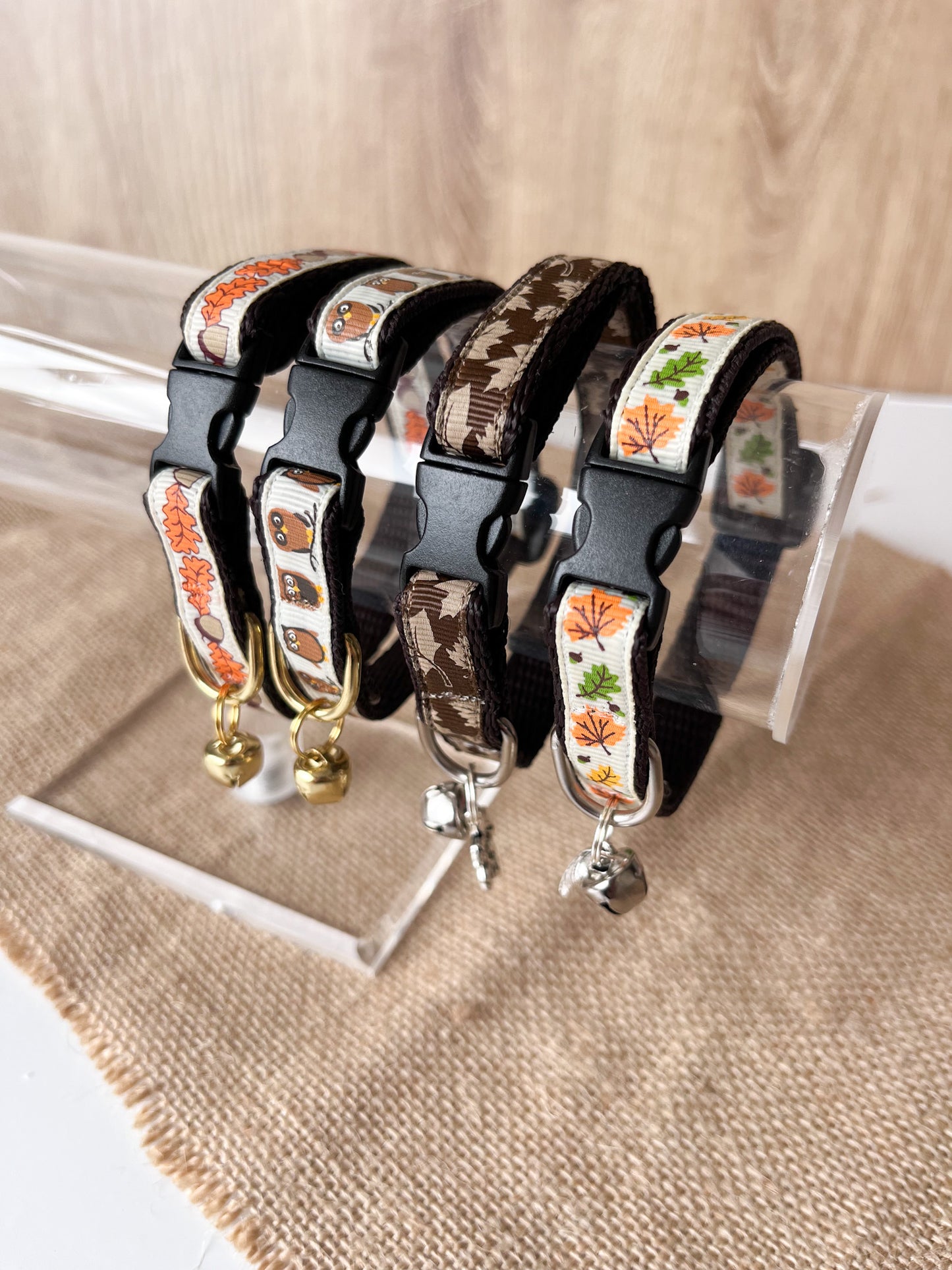Autumn Walks - Adult Cat Collar