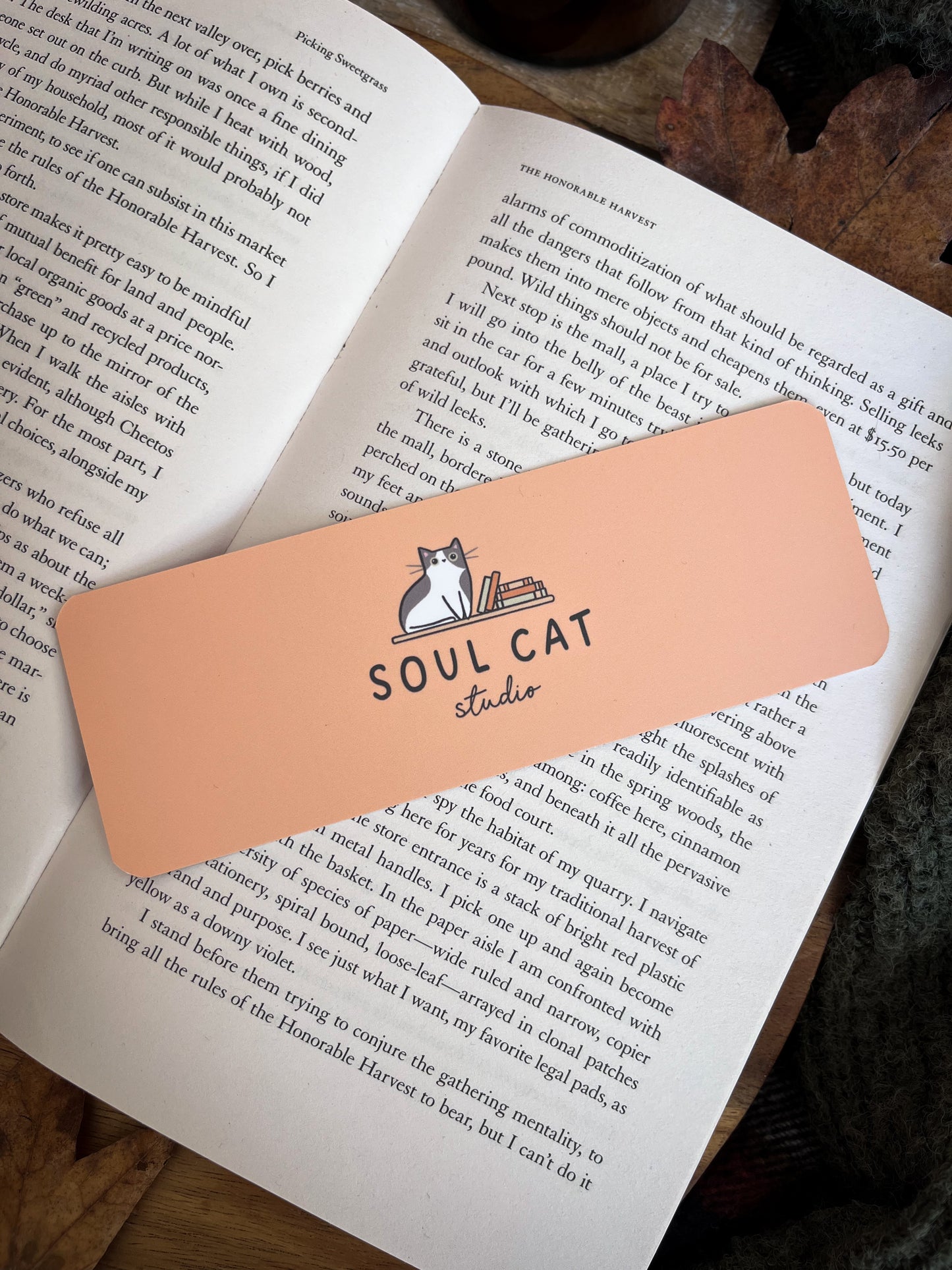 Ginger Cat Bookmark