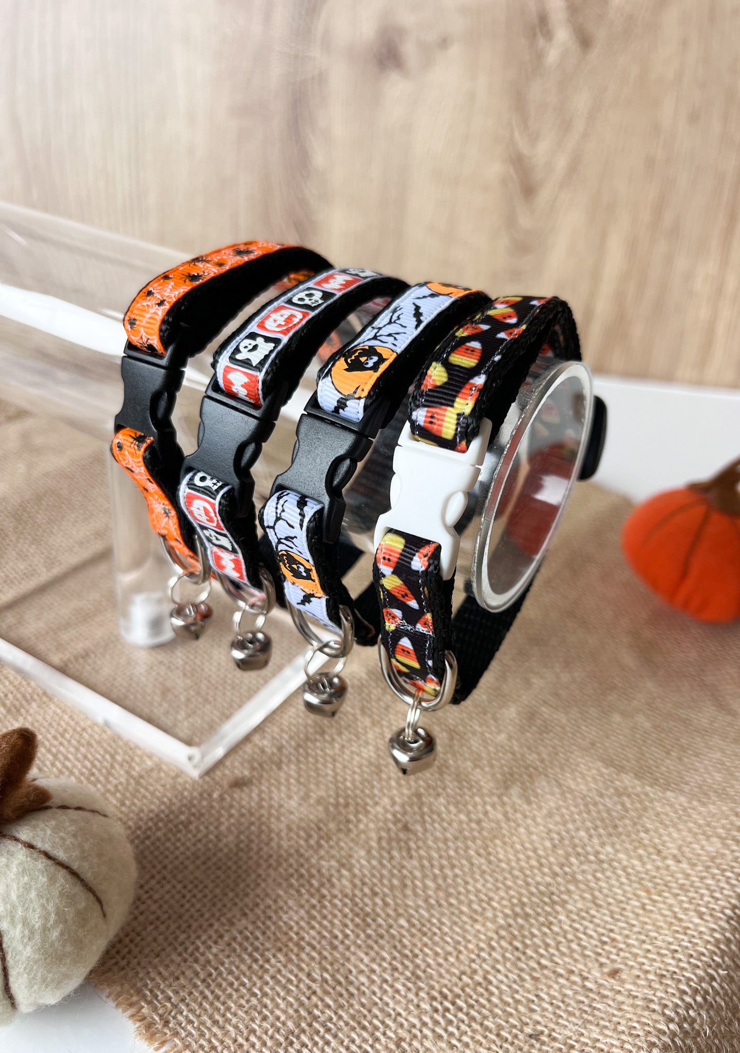 Candy Corn - Adult Cat Collar