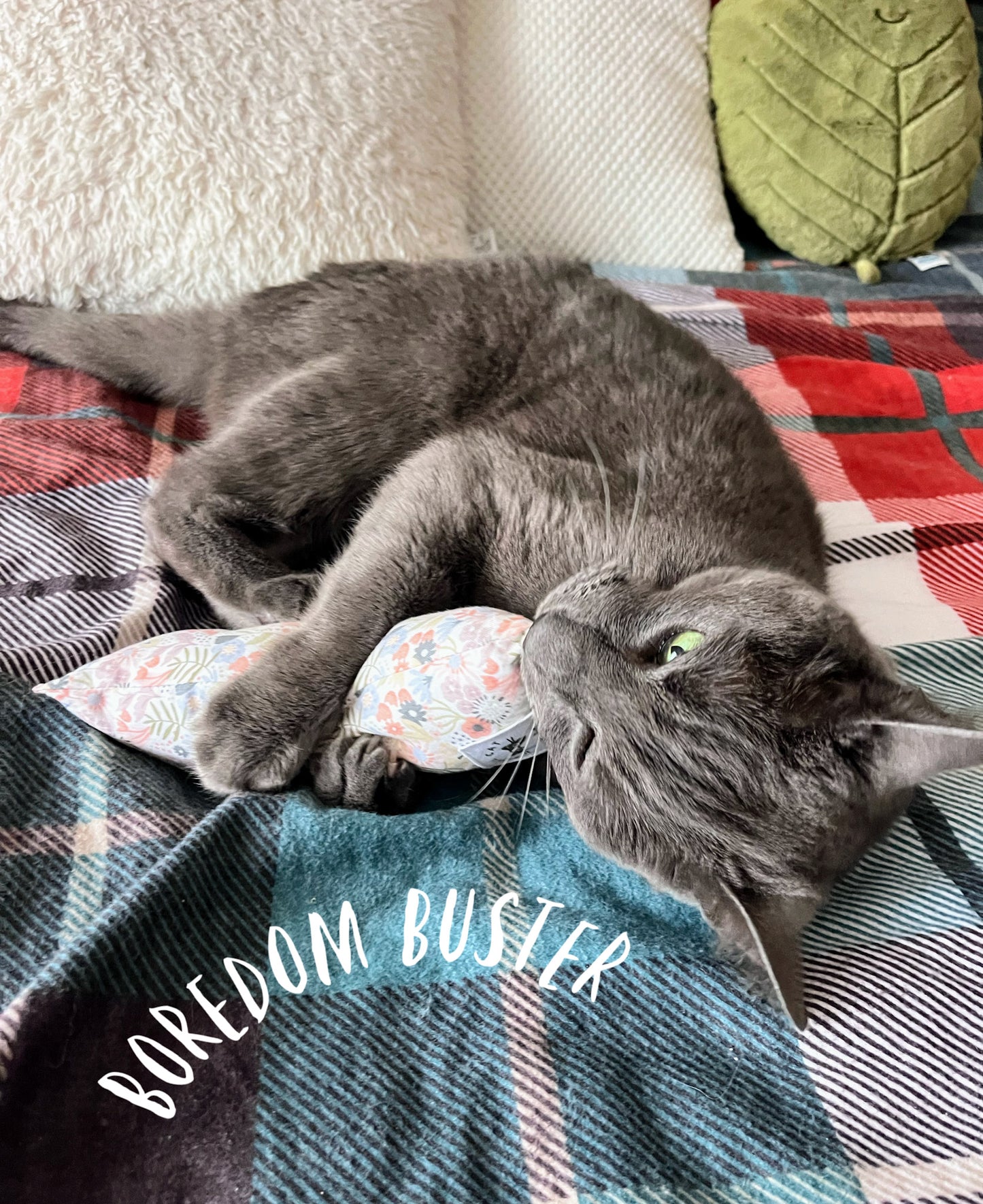 Pumpkin Patch Catnip Kicker